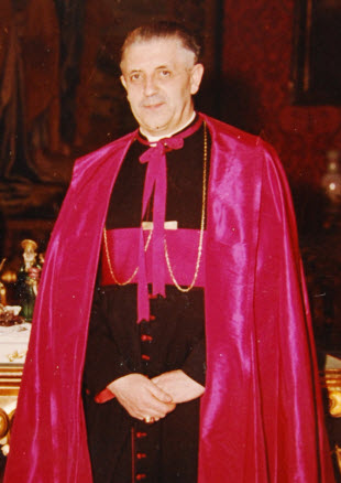 Kardinaal Leo Suenens