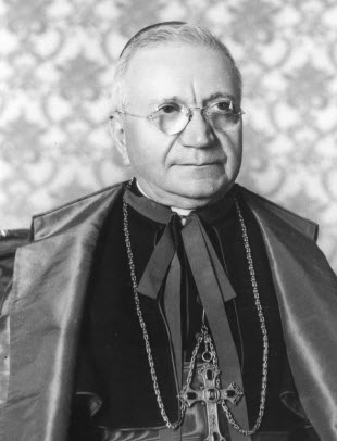 Kardinaal Amleto Cicognani, 1963